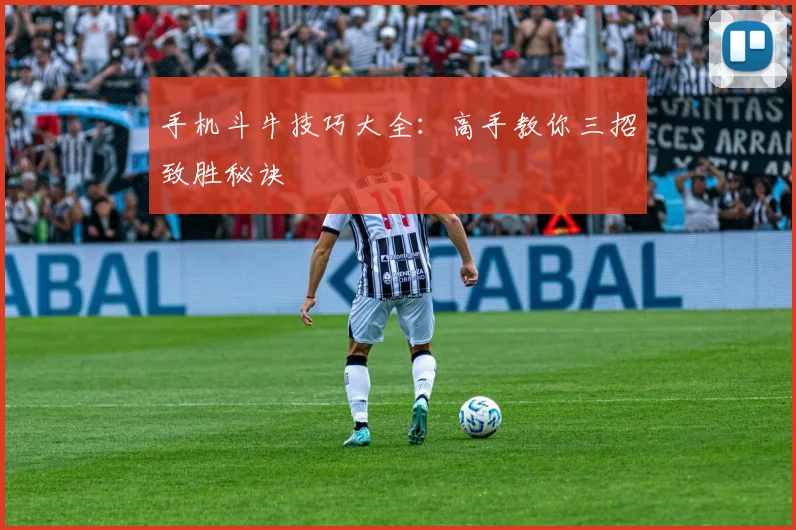 手机斗牛技巧大全：高手教你三招致胜秘诀