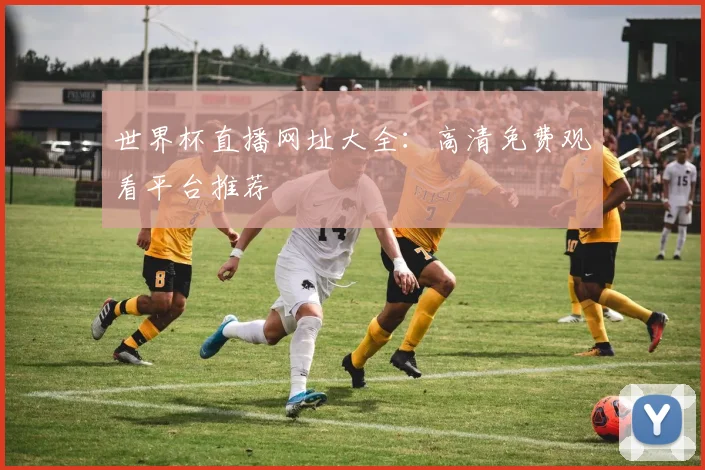 世界杯直播网址大全：高清免费观看平台推荐