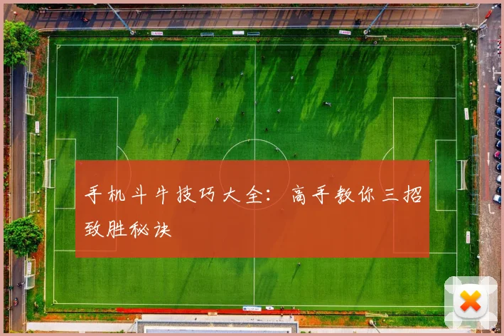 手机斗牛技巧大全：高手教你三招致胜秘诀